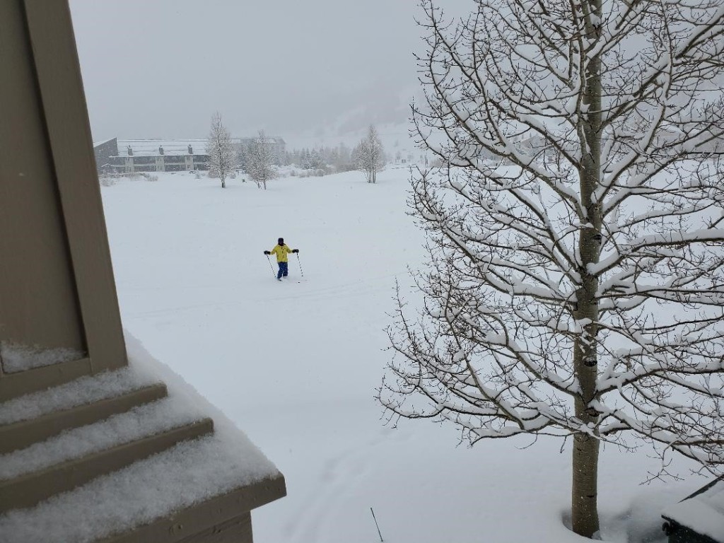 219 Wheeler Place 18 Property Photo 3