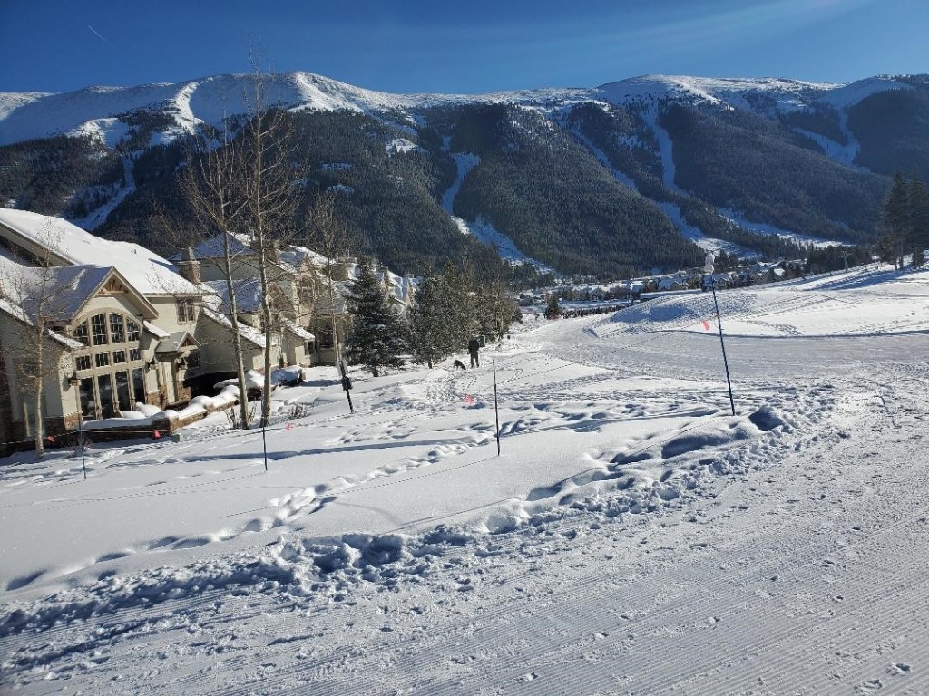 219 Wheeler Place 18 Property Photo 6