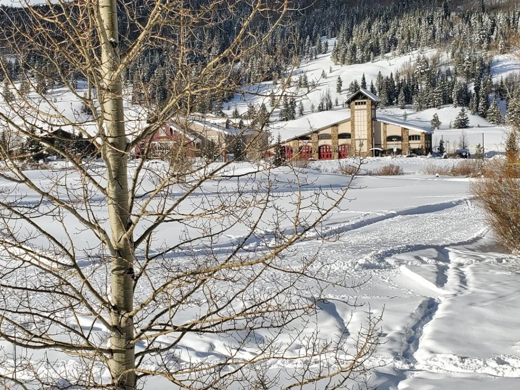 219 Wheeler Place 18 Property Photo 8