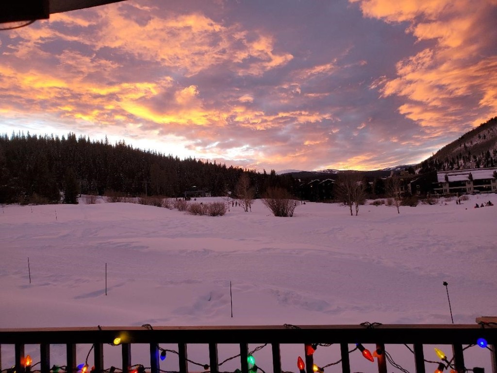 219 Wheeler Place 18 Property Photo 44