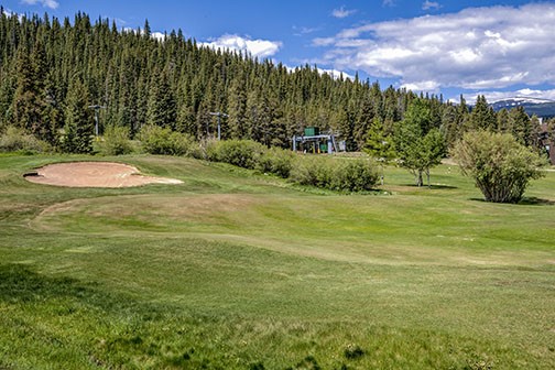 219 Wheeler Place 18 Property Photo 47