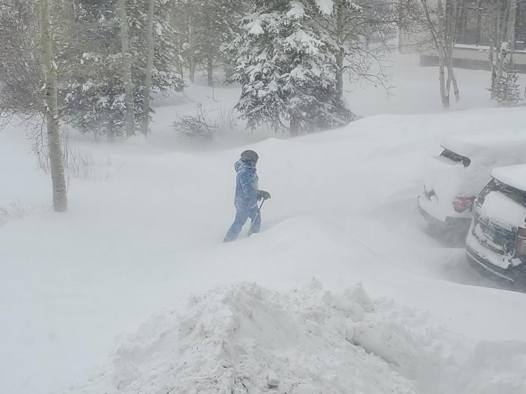 219 Wheeler Place 18 Property Photo 50