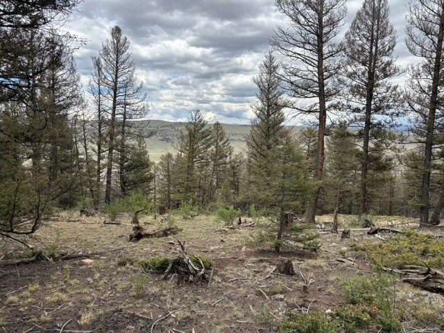 TBD Middle Fork Vista