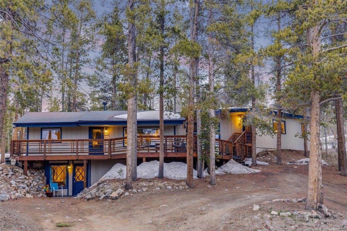 1981 Boreas Pass Road Property Photo 1