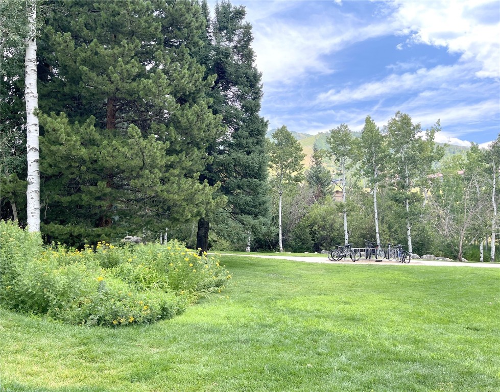 1920 Ski Time Square Drive 208 Property Photo 19