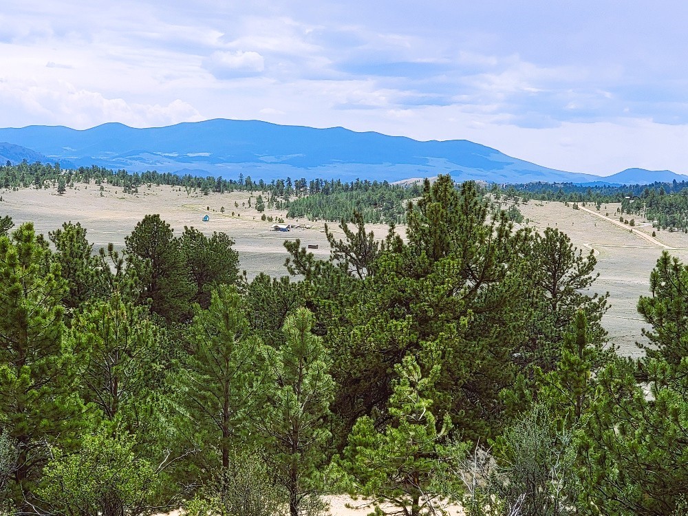1051 Arapahoe Trail Property Photo 9