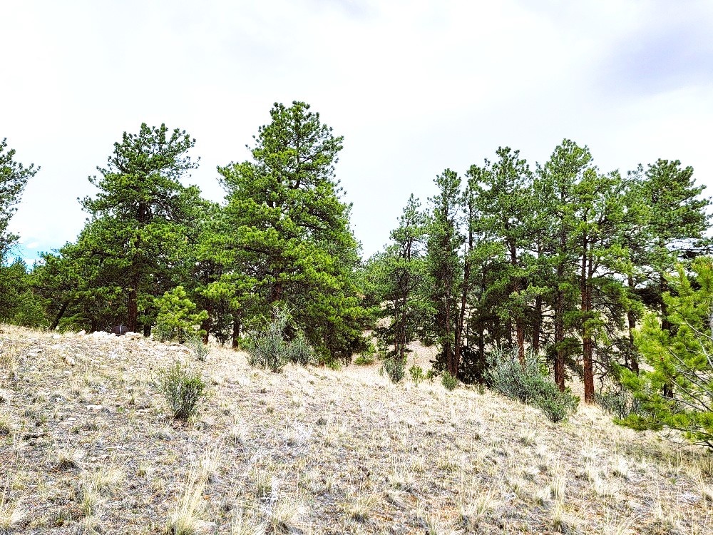 1051 Arapahoe Trail Property Photo 16