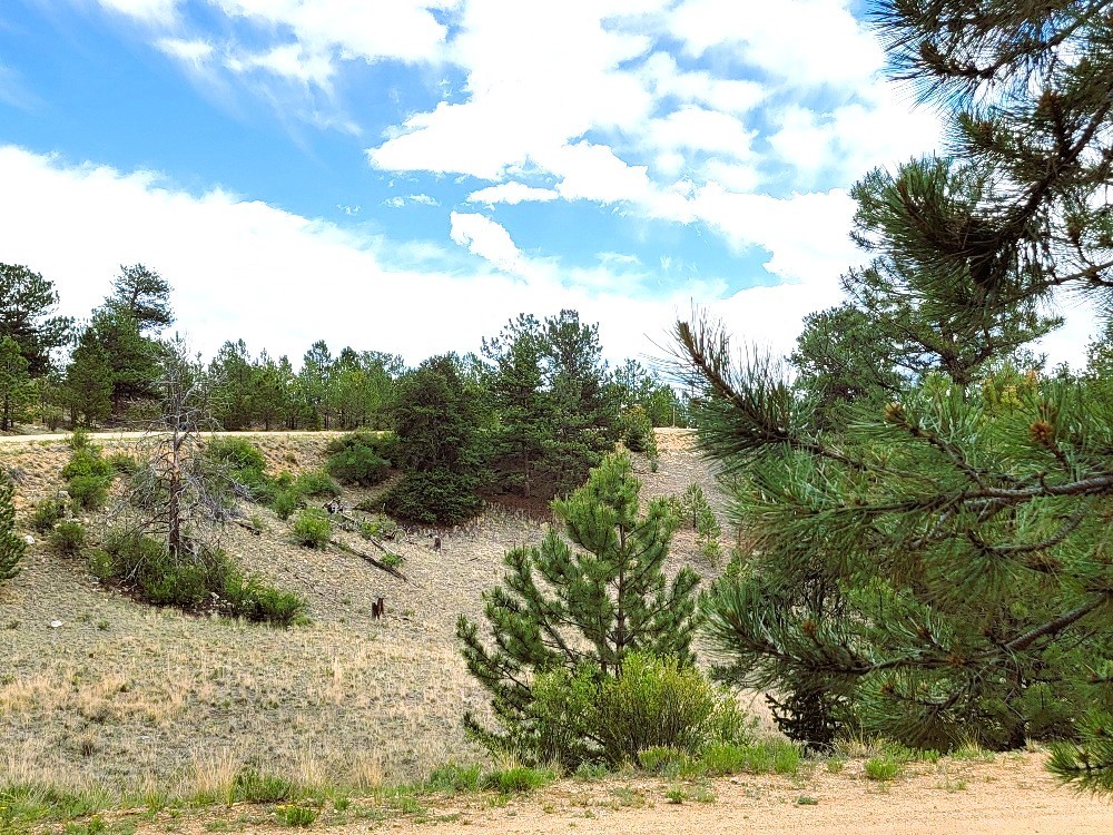 1051 Arapahoe Trail Property Photo 19