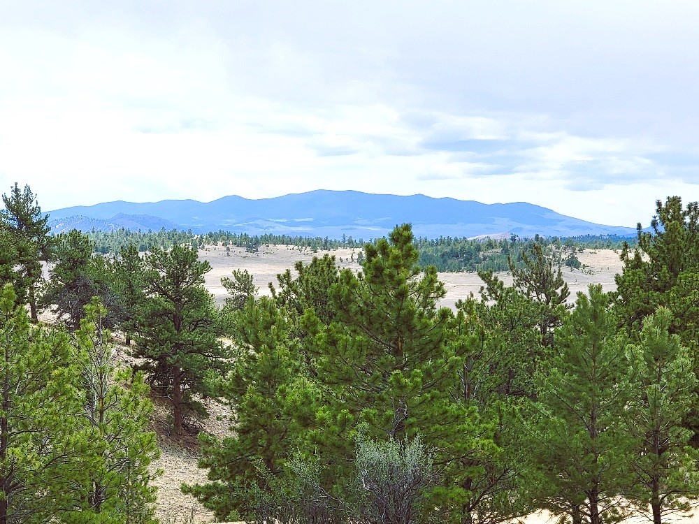1051 Arapahoe Trail Property Photo 21