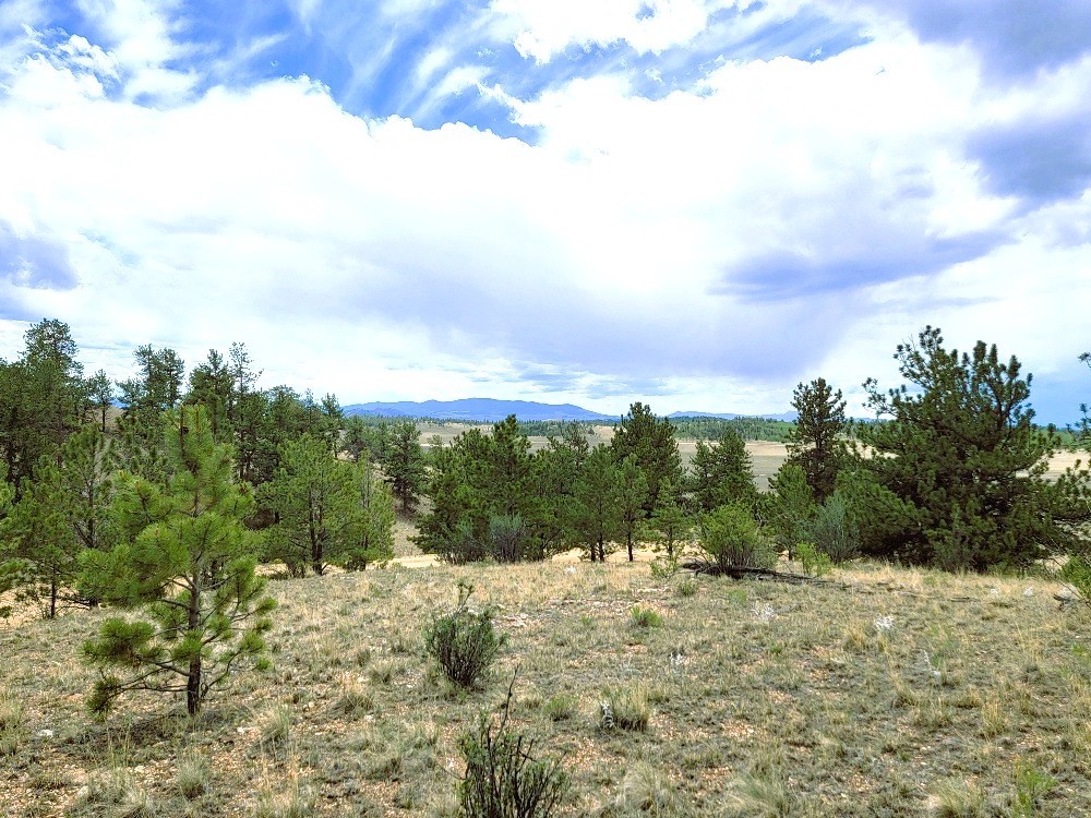 1051 Arapahoe Trail Property Photo 22