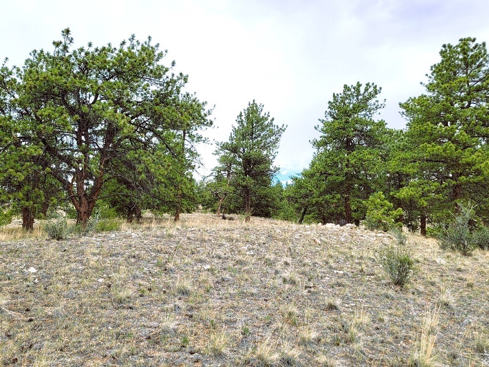 1051 Arapahoe Trail Property Photo 23
