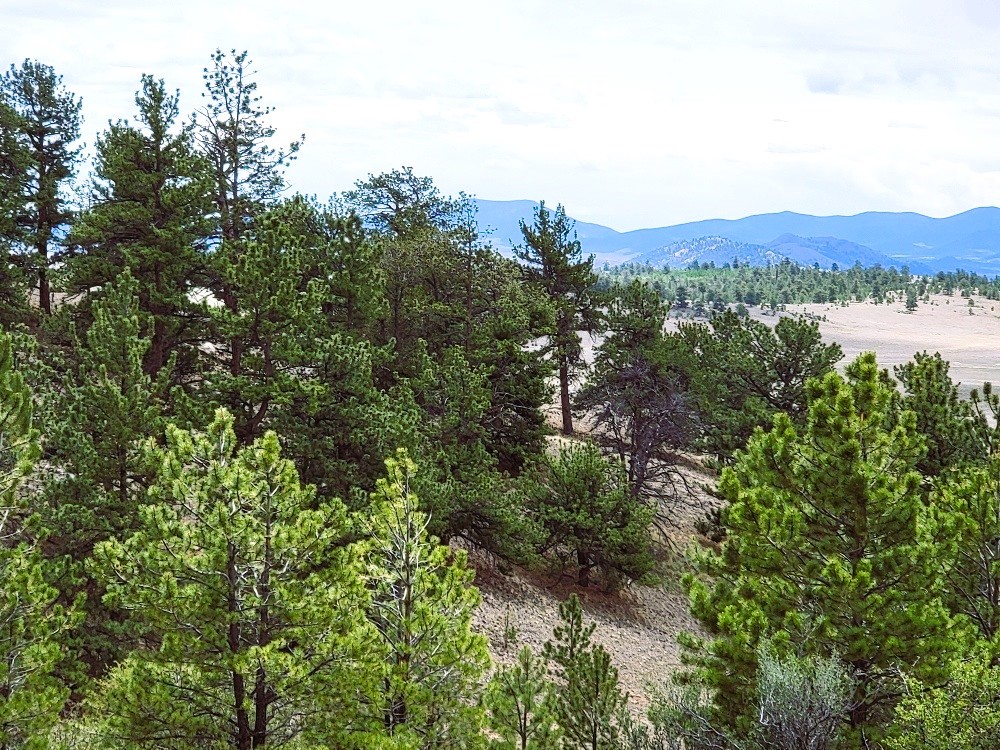 1051 Arapahoe Trail Property Photo 25