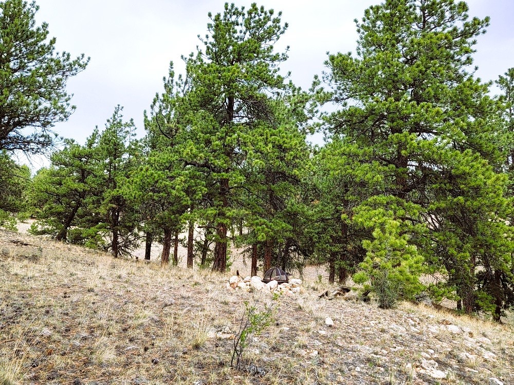 1051 Arapahoe Trail Property Photo 30