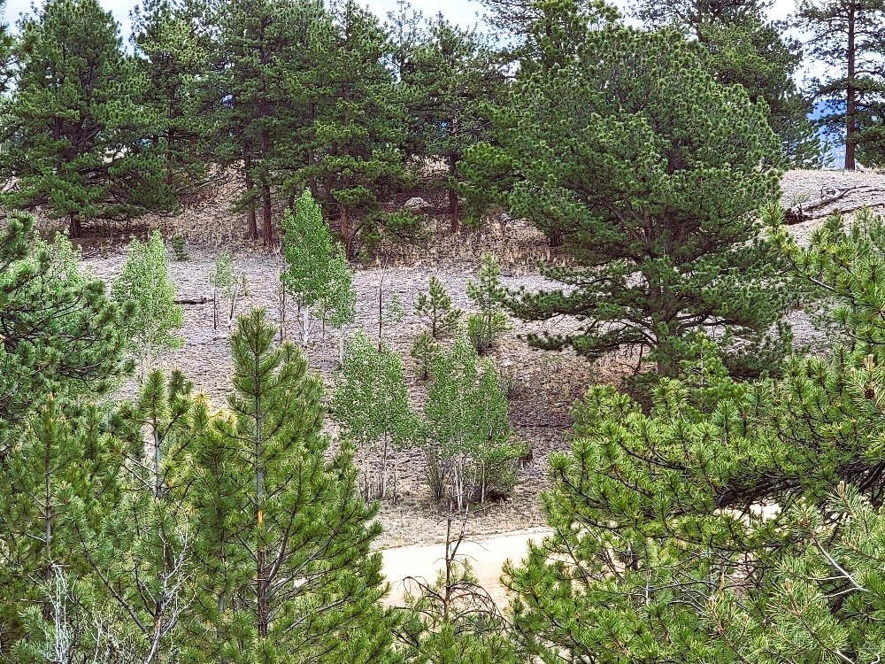 1051 Arapahoe Trail Property Photo 31