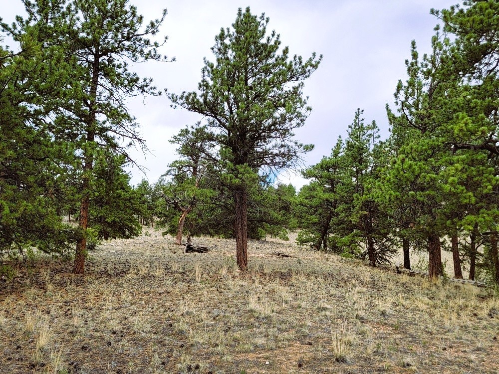 1051 Arapahoe Trail Property Photo 32