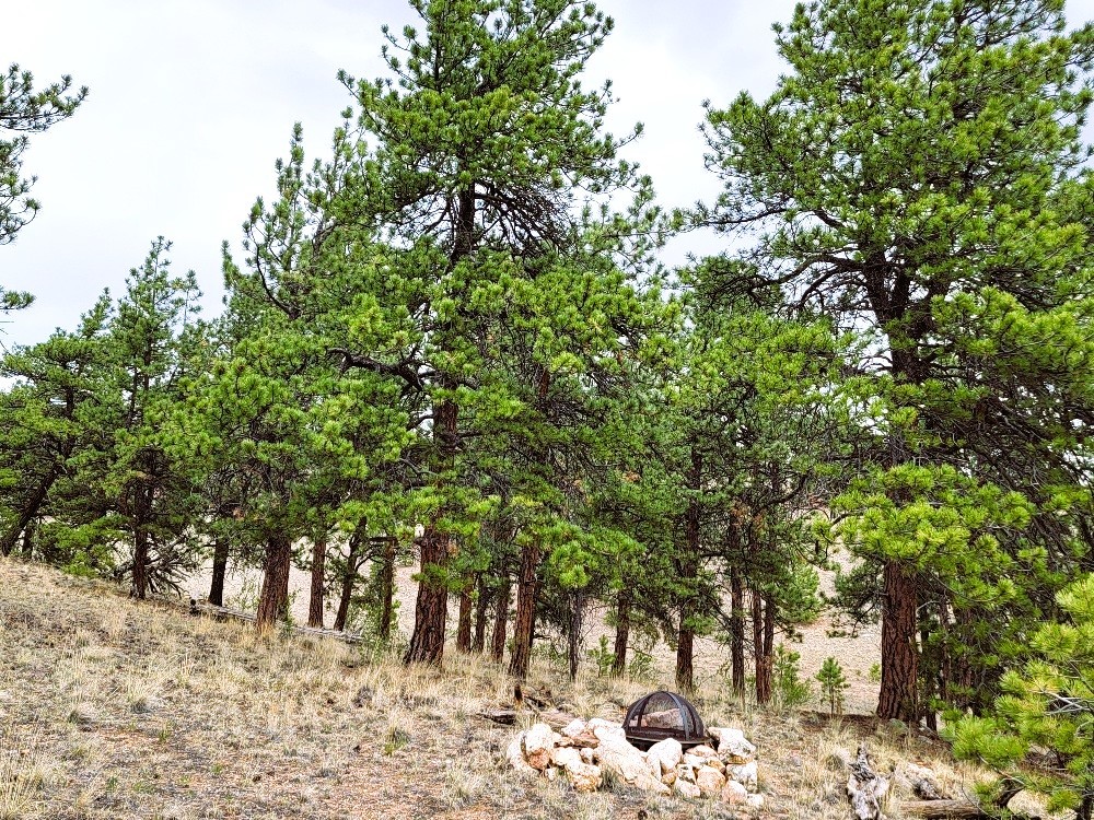 1051 Arapahoe Trail Property Photo 33