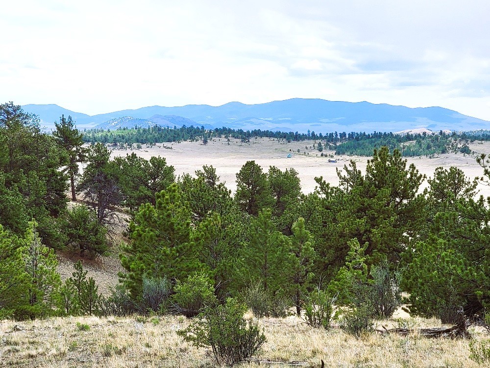 1051 Arapahoe Trail Property Photo 34