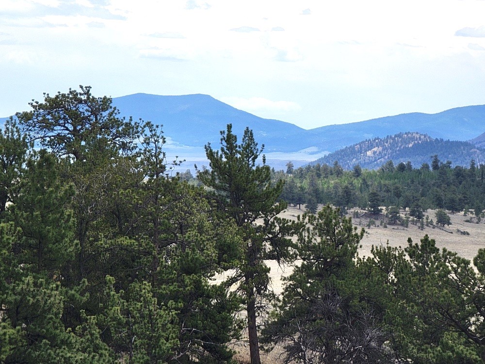 1051 Arapahoe Trail Property Photo 36