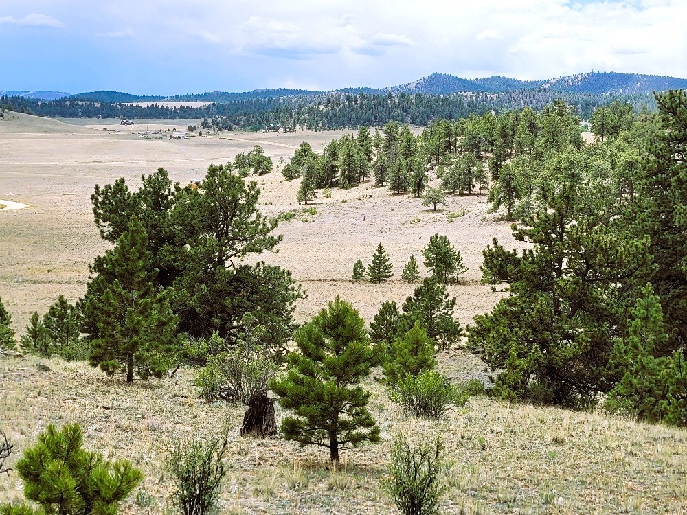 1051 Arapahoe Trail Property Photo 41