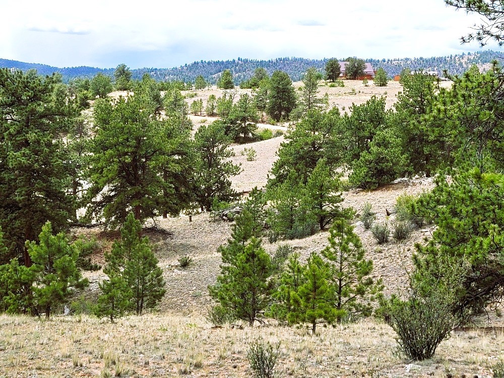 1051 Arapahoe Trail Property Photo 42