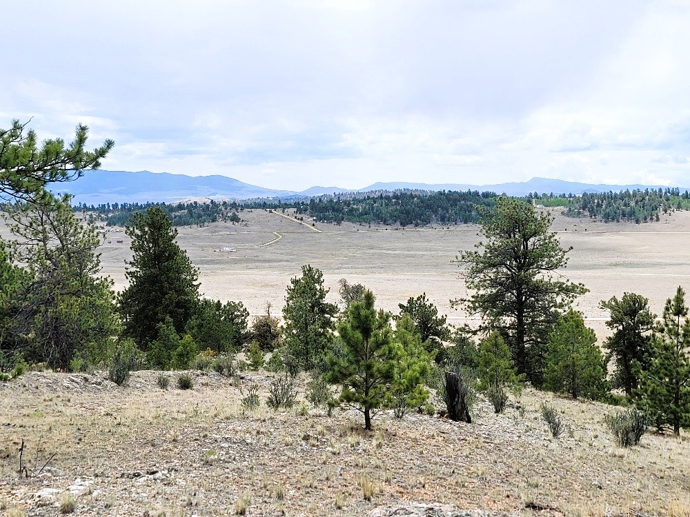 1051 Arapahoe Trail Property Photo 44