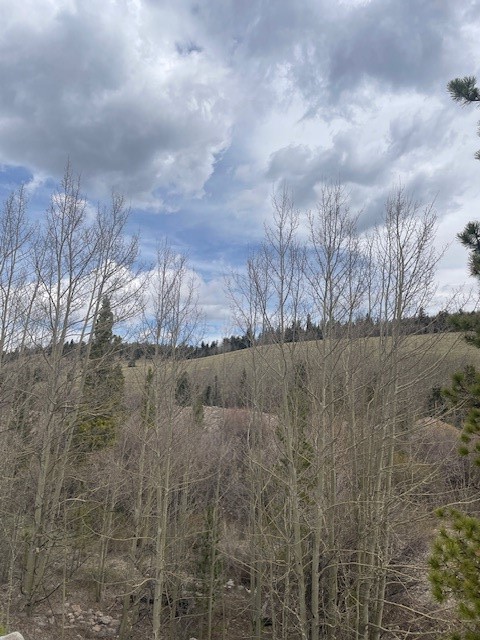 1582 Beaver Creek Road Property Photo 1