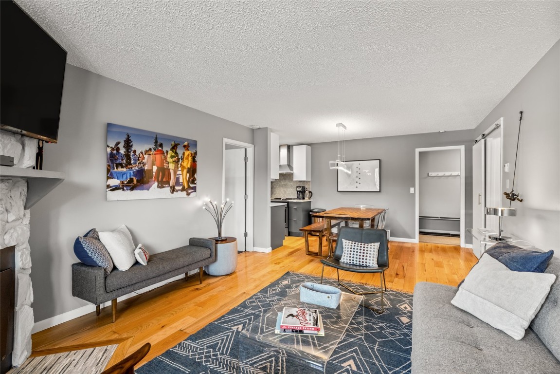 2350 Ski Trail Lane 112 Property Photo 6