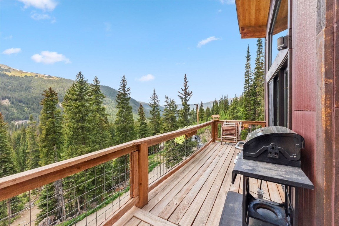 353 Bullion Mine Road Property Photo 27