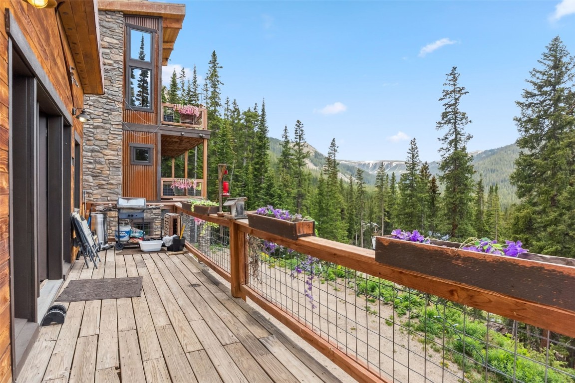 353 Bullion Mine Road Property Photo 28