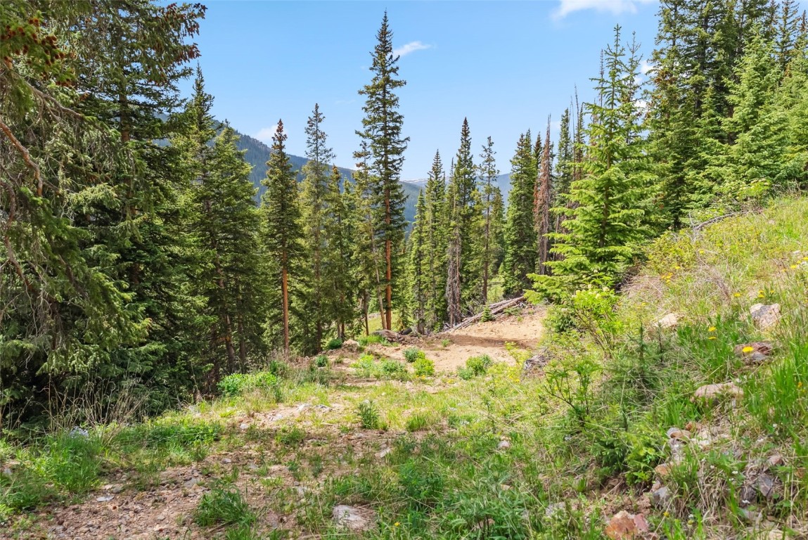 353 Bullion Mine Road Property Photo 38