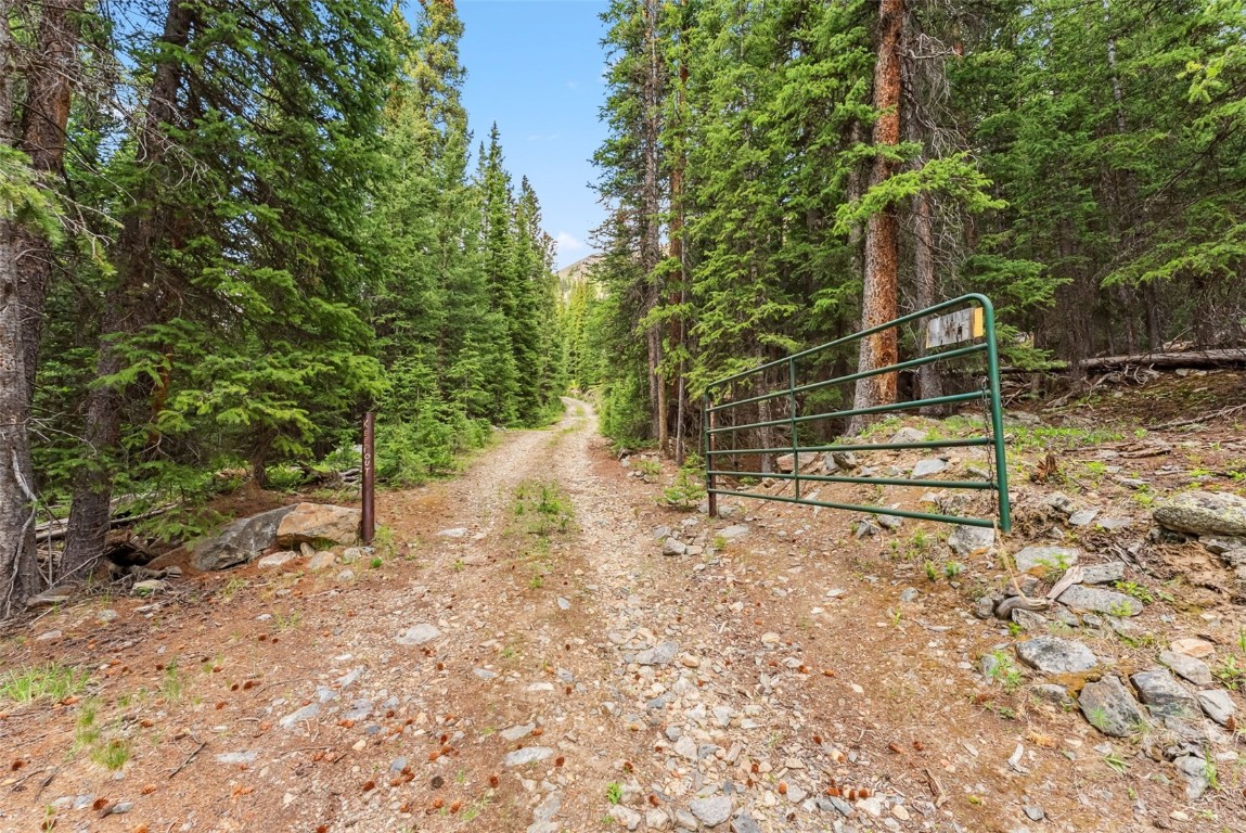 353 Bullion Mine Road Property Photo 39