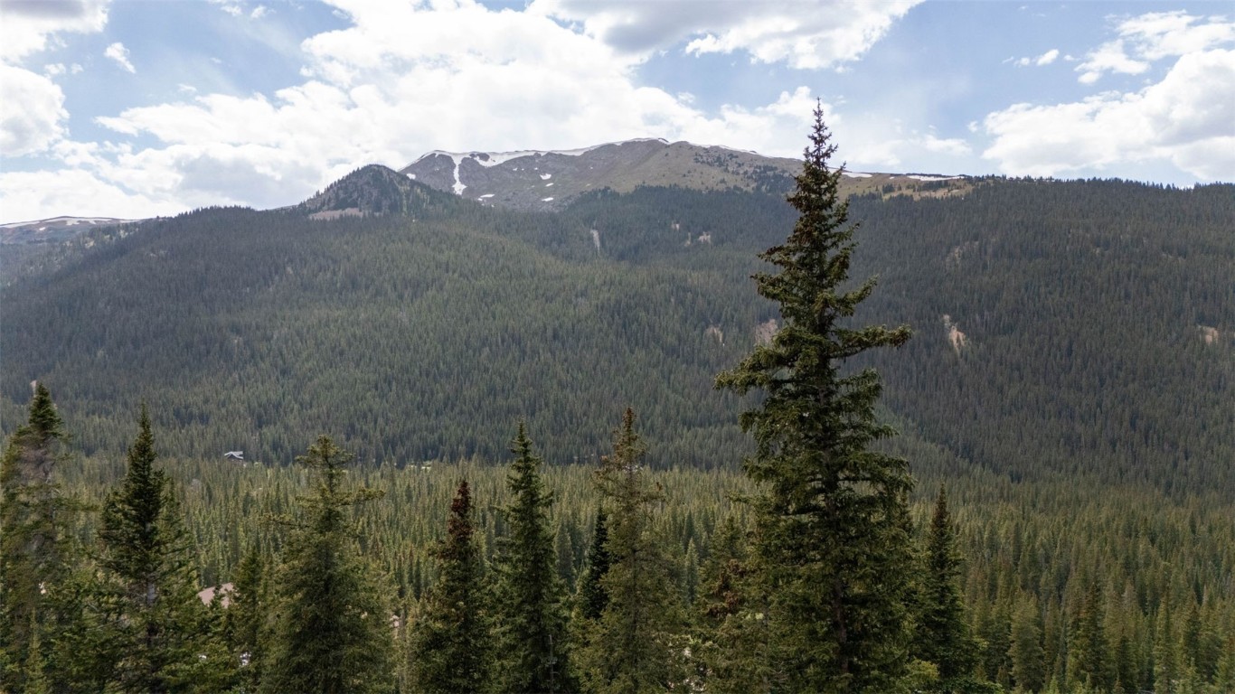 353 Bullion Mine Road Property Photo 44