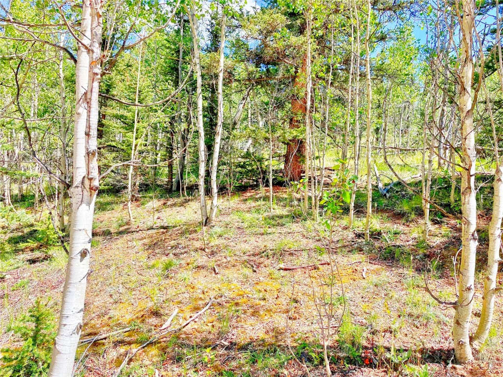 224 Apache Trail Property Photo 1