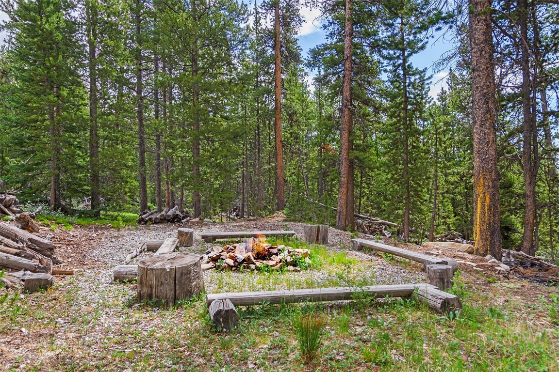 725 Zebulon Street Property Photo 4