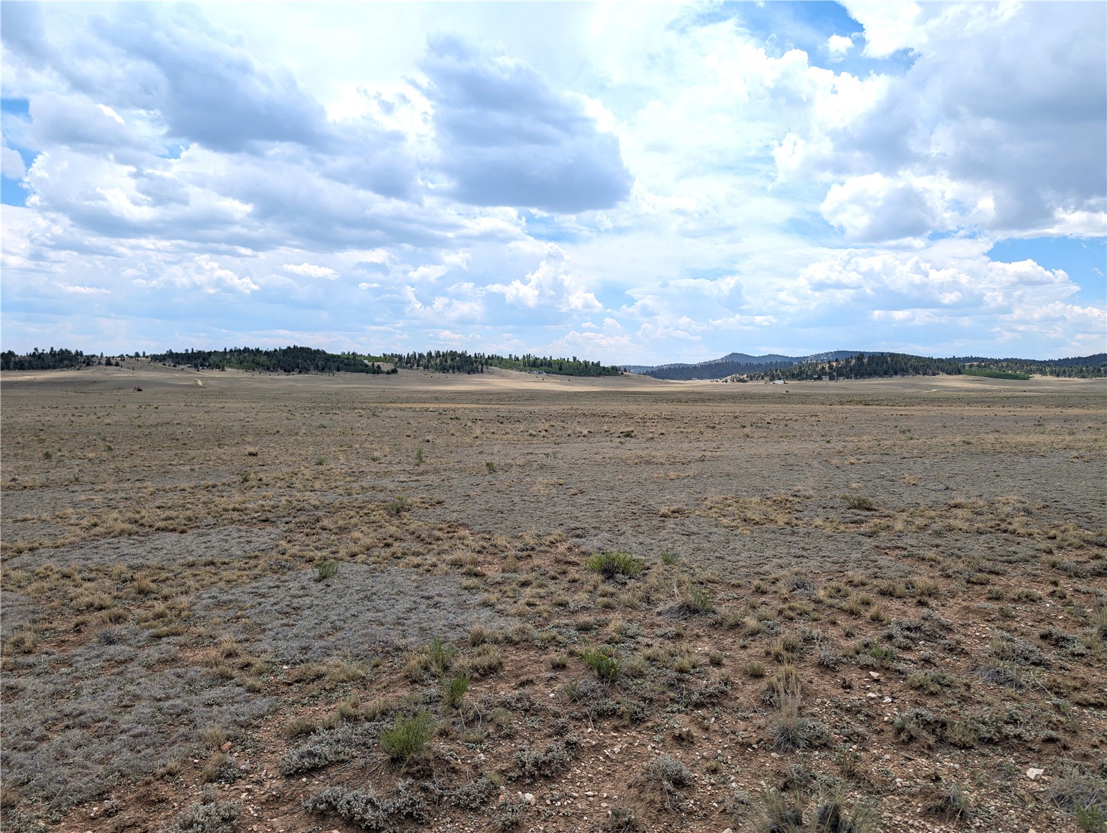 956 Apache Trail Property Photo 2