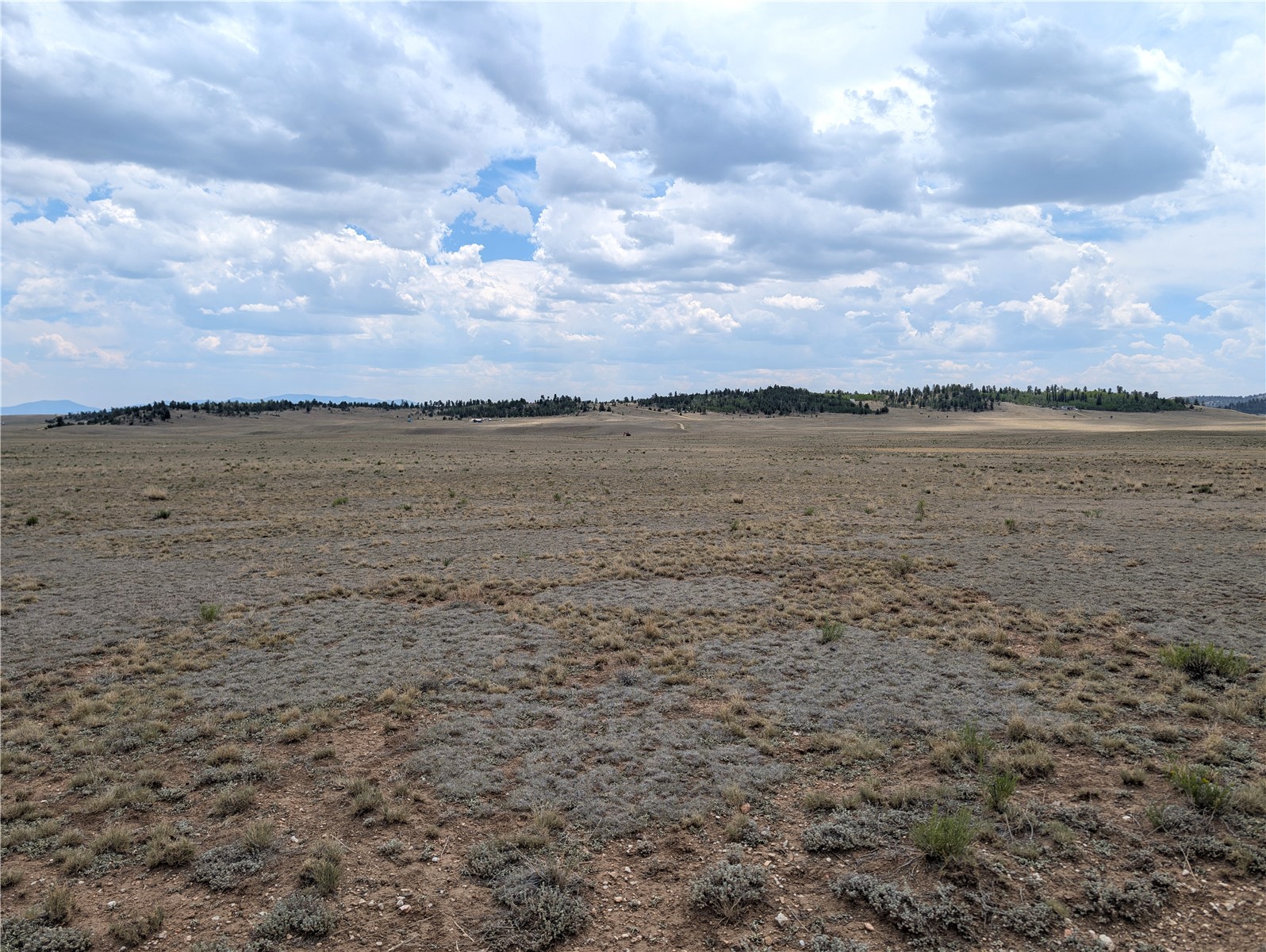 956 Apache Trail Property Photo 3