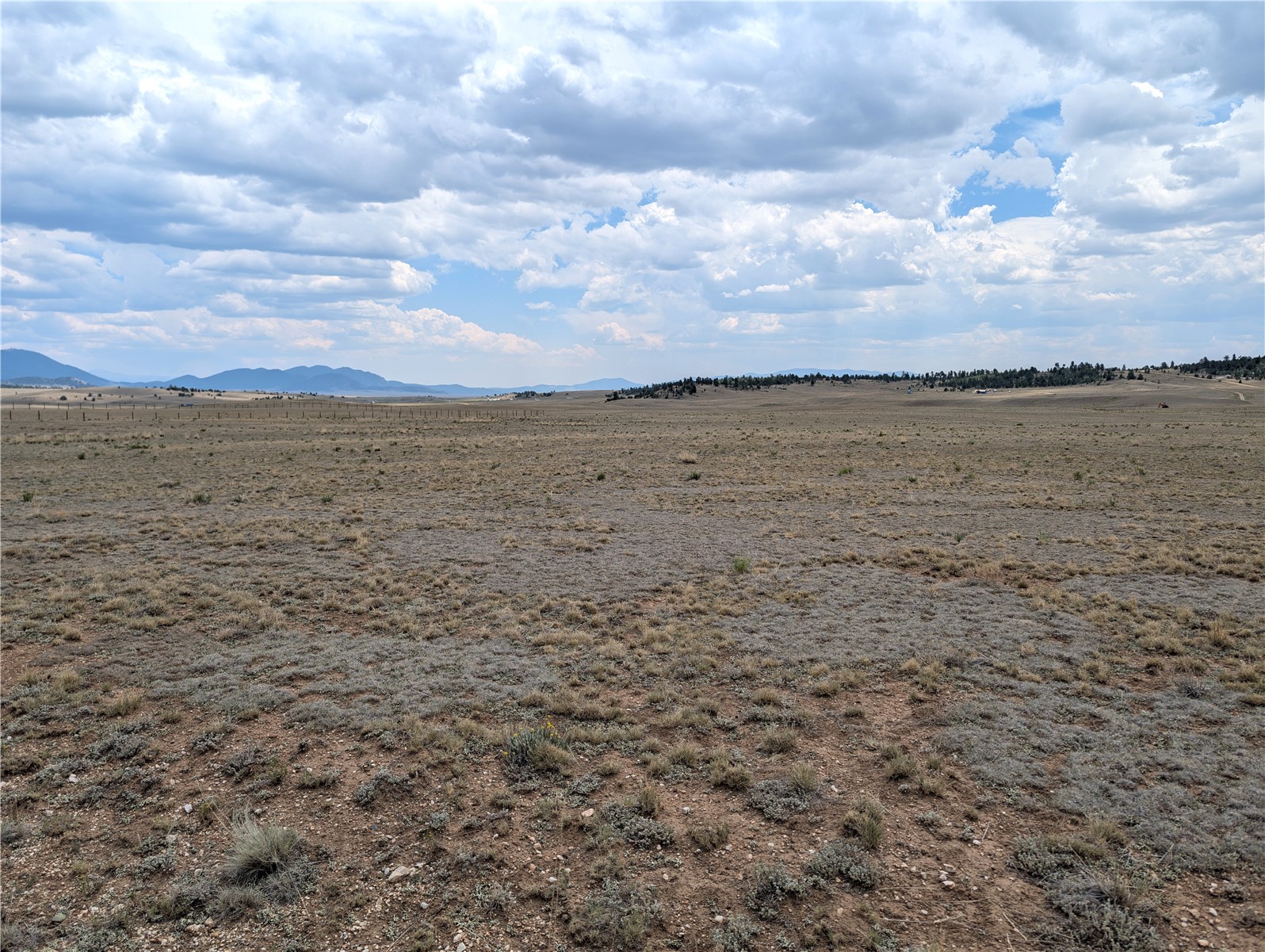 956 Apache Trail Property Photo 4