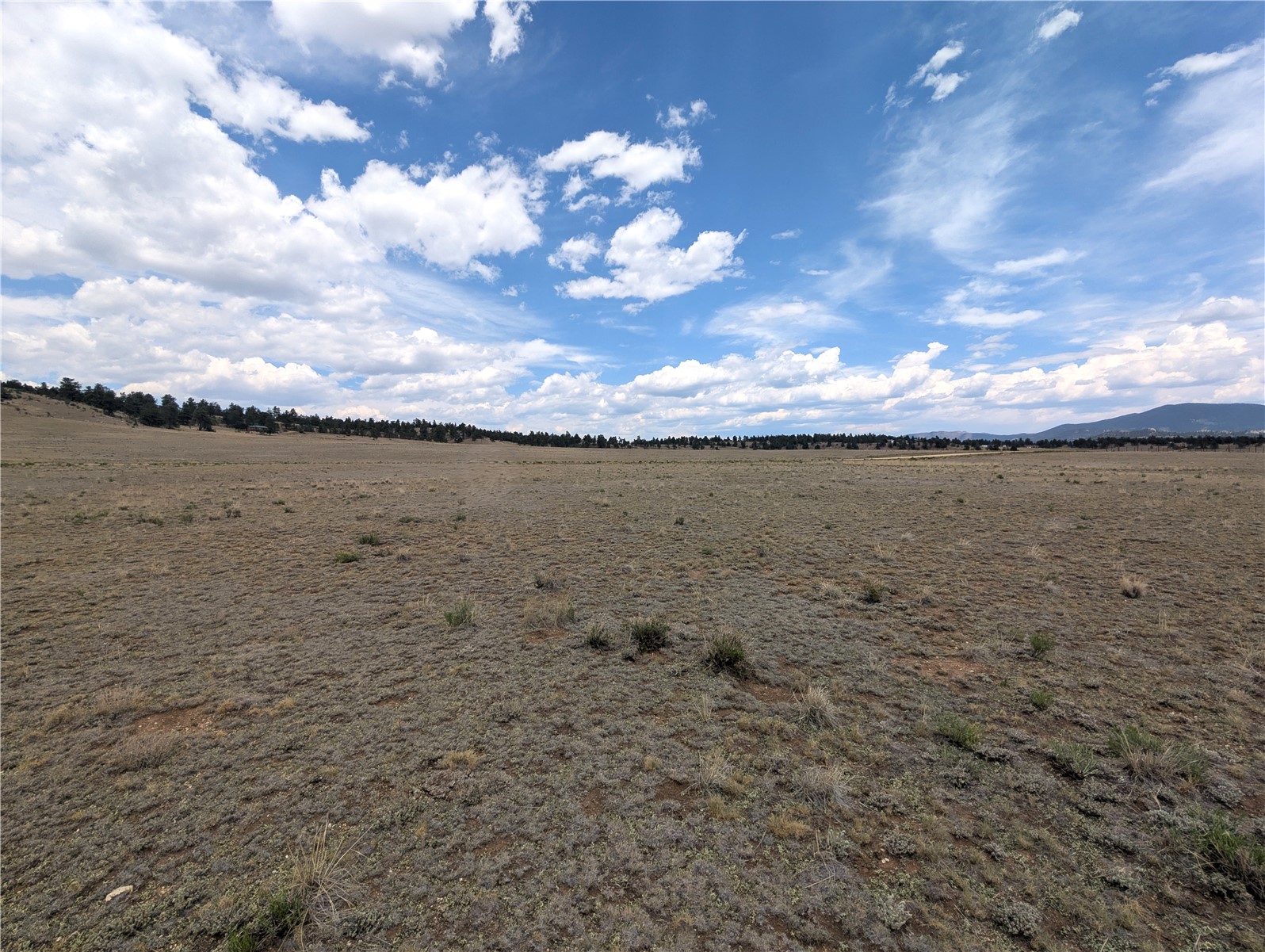 956 Apache Trail Property Photo 8
