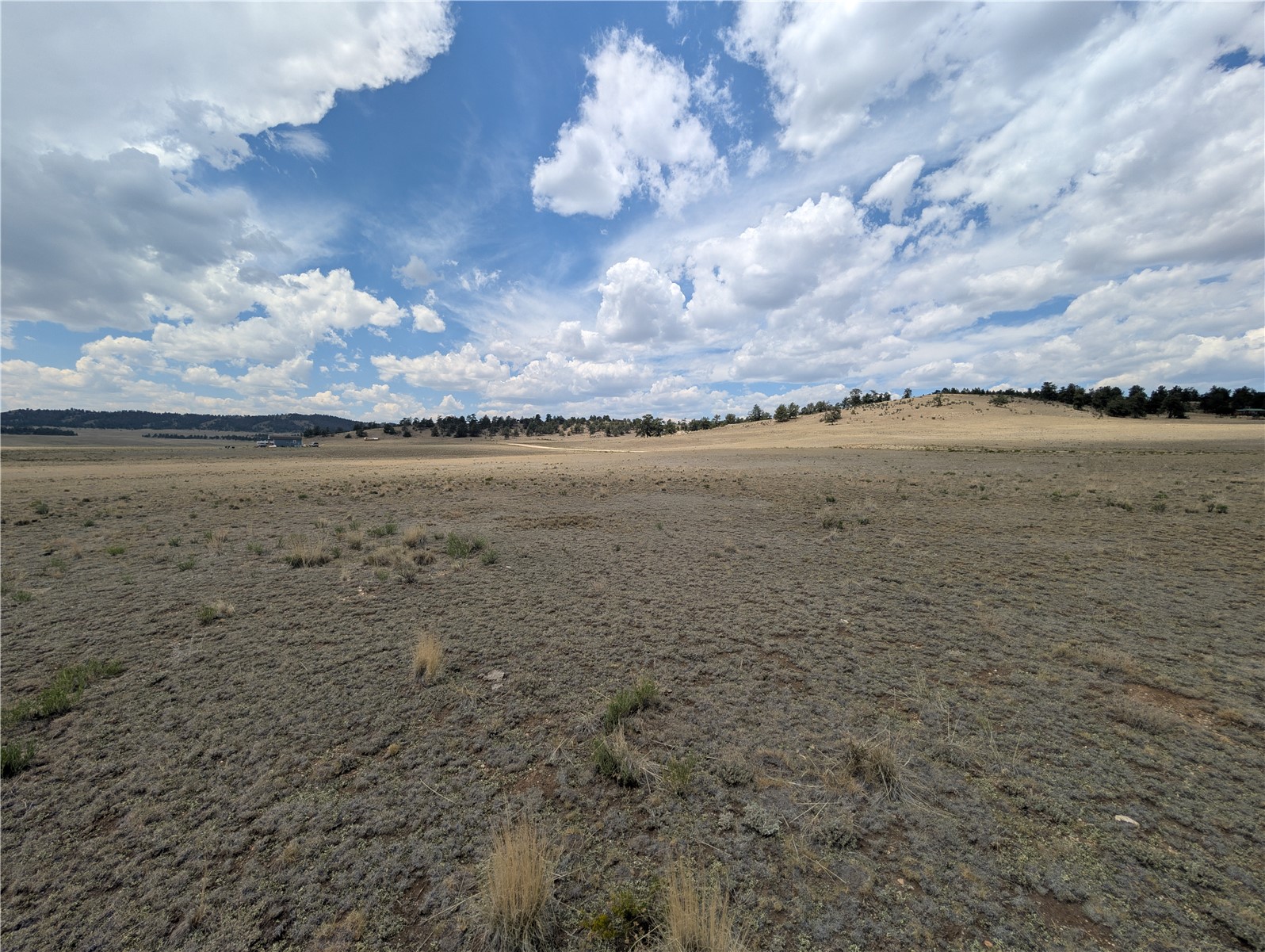 956 Apache Trail Property Photo 12