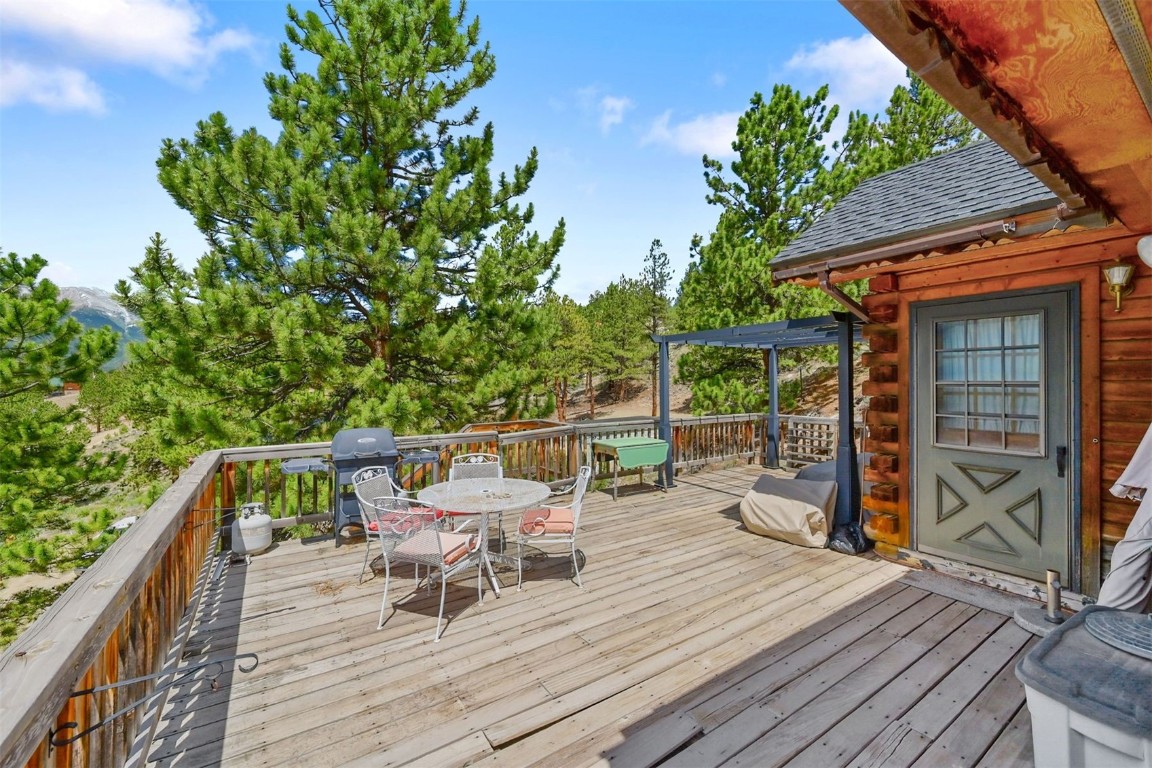 275 La Plata Peak Drive Property Photo 36