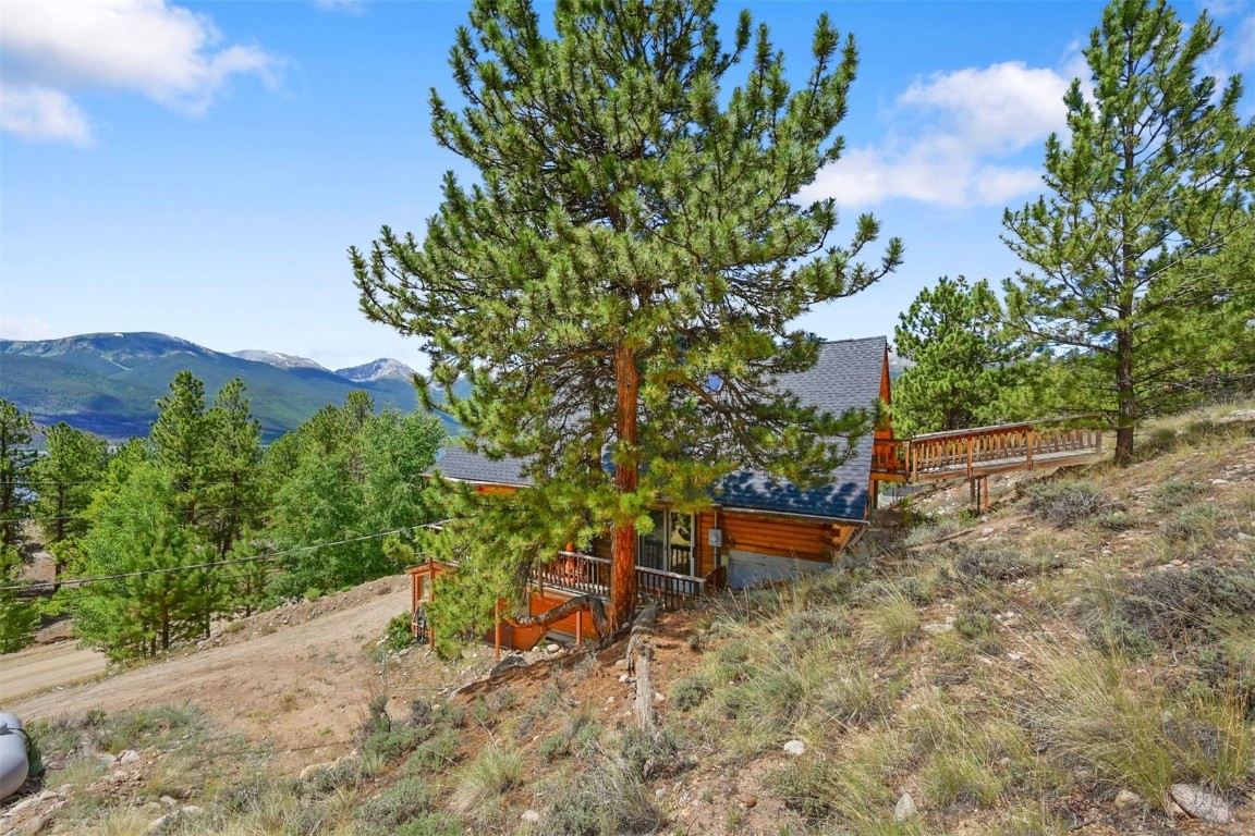 275 La Plata Peak Drive Property Photo 46