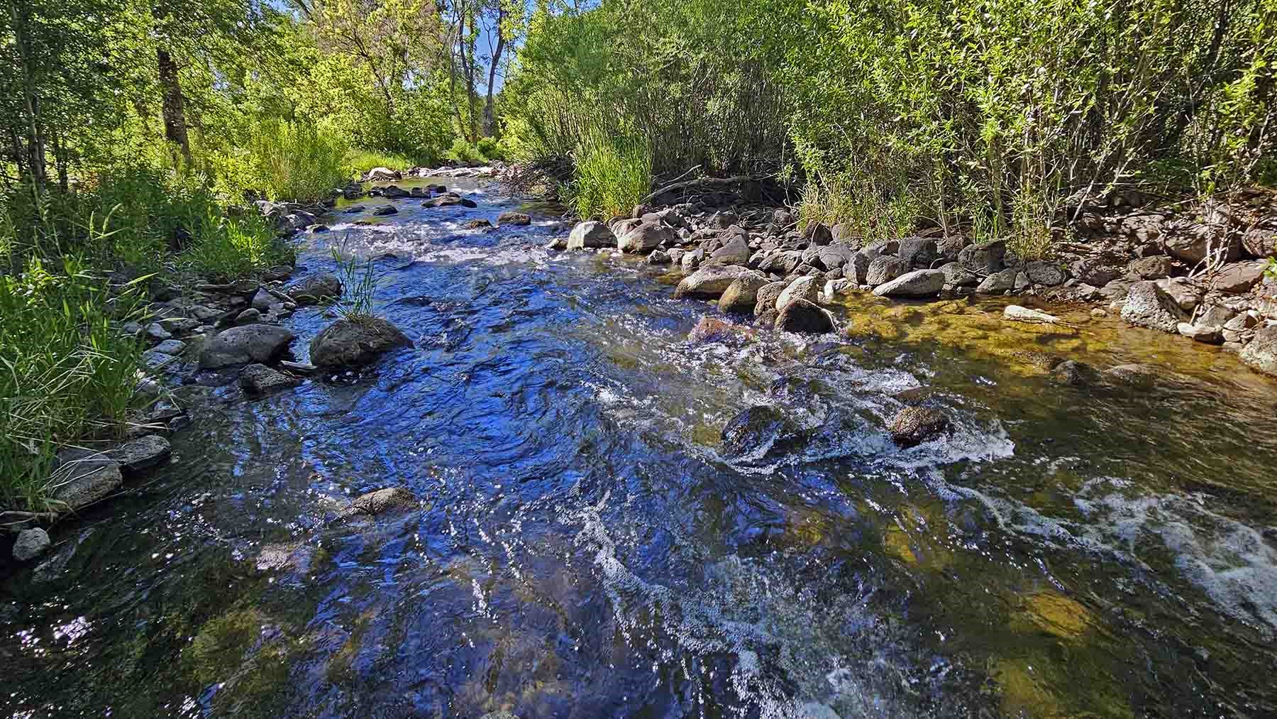 2650 Sweetwater Road Property Photo 4