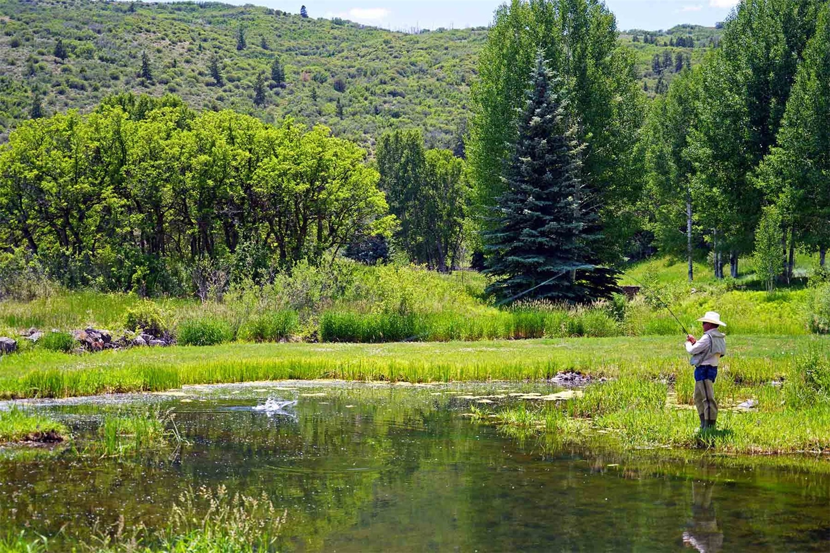 2650 Sweetwater Road Property Photo 49