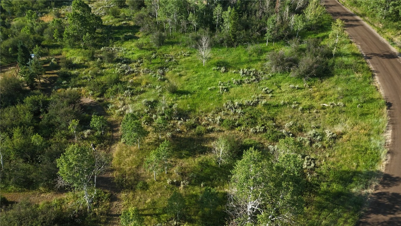 31145 Broken Talon Trail Property Photo 1