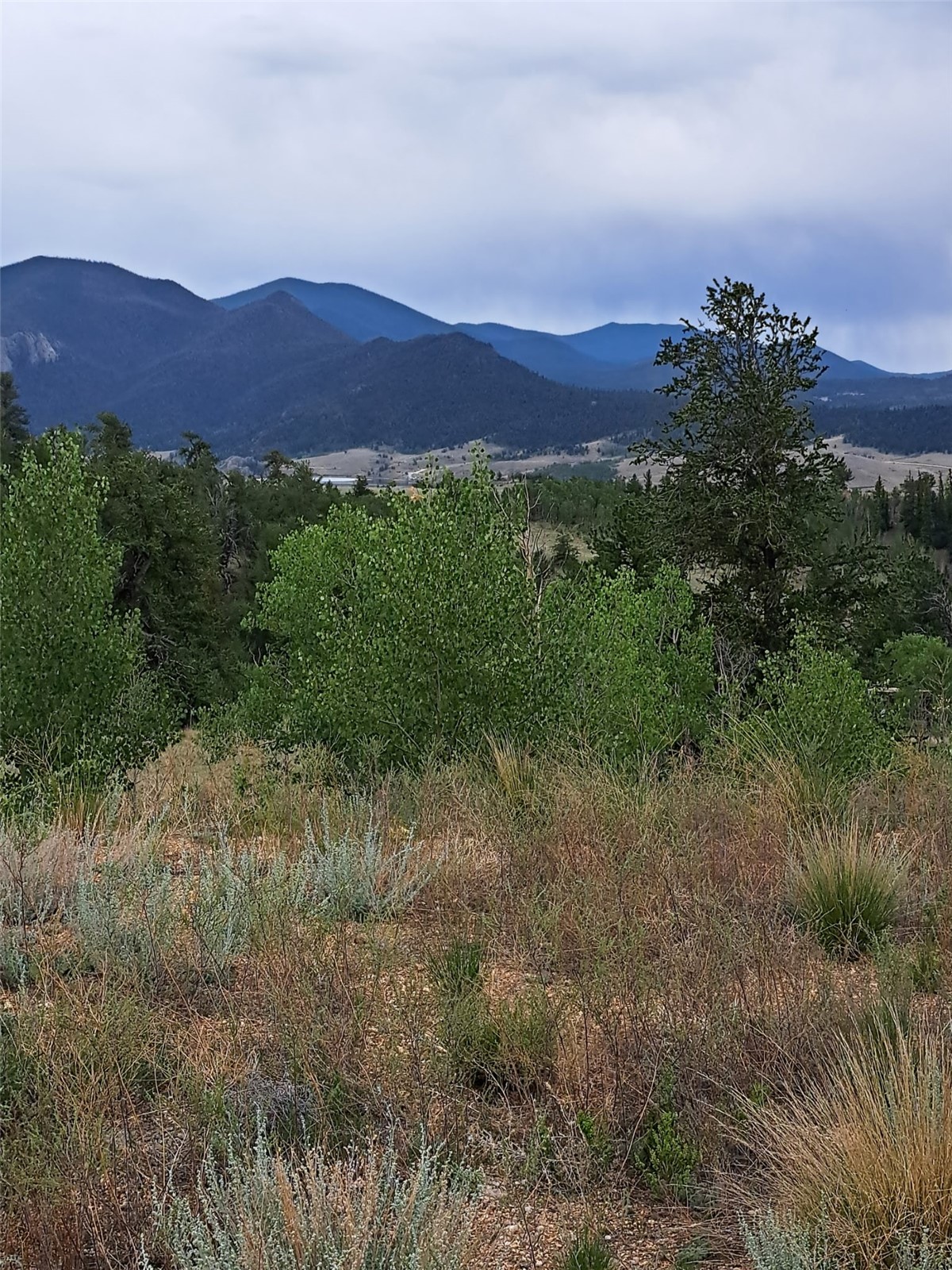 639 Spade Place Property Photo 16