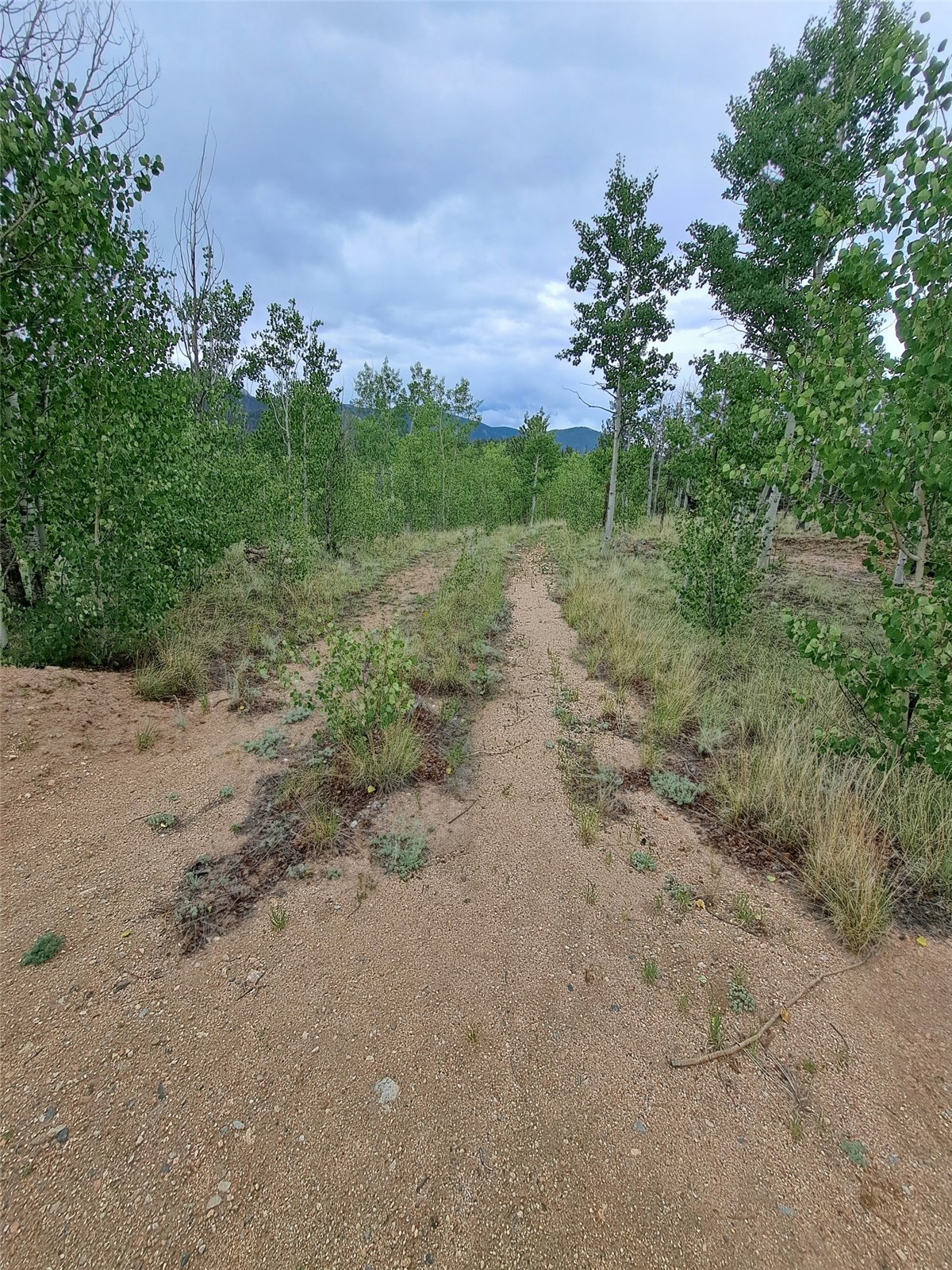 639 Spade Place Property Photo 21
