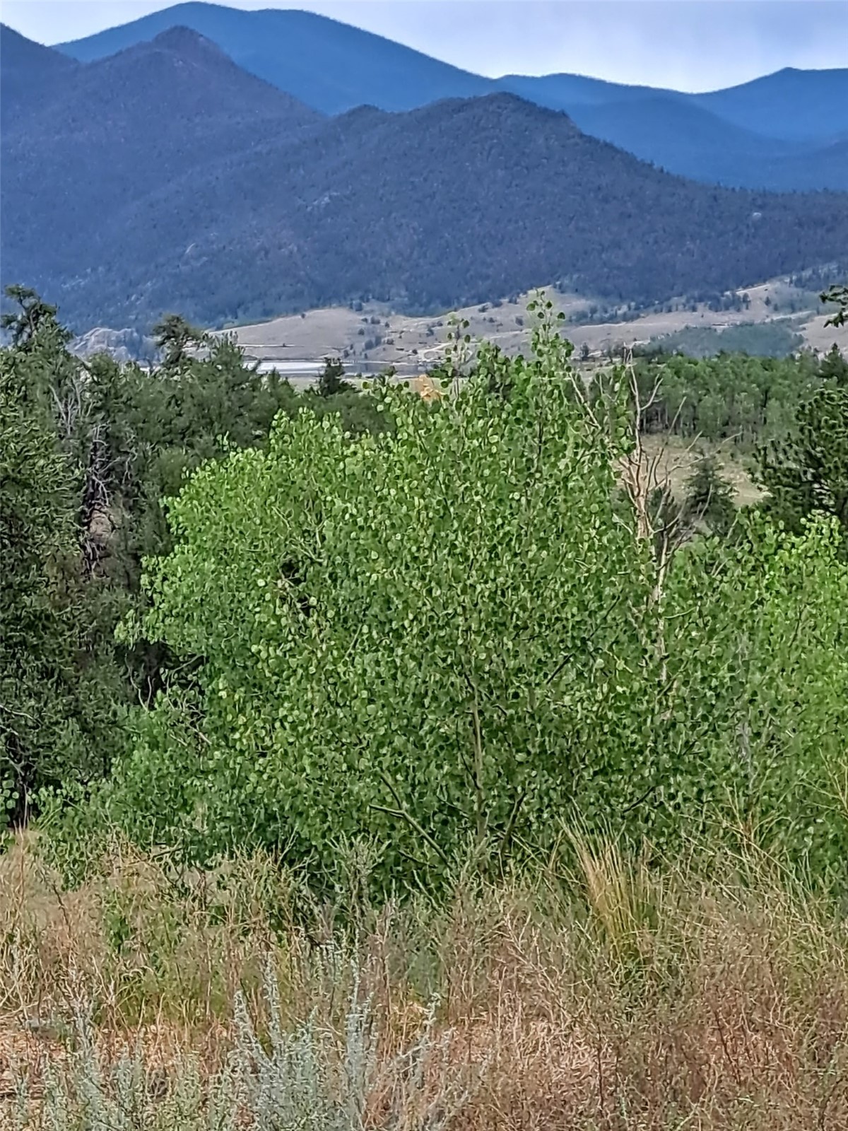 639 Spade Place Property Photo 44