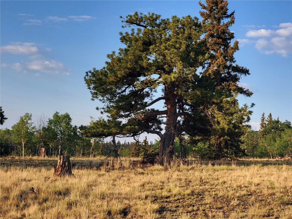 22 Teton Trail Property Photo 1