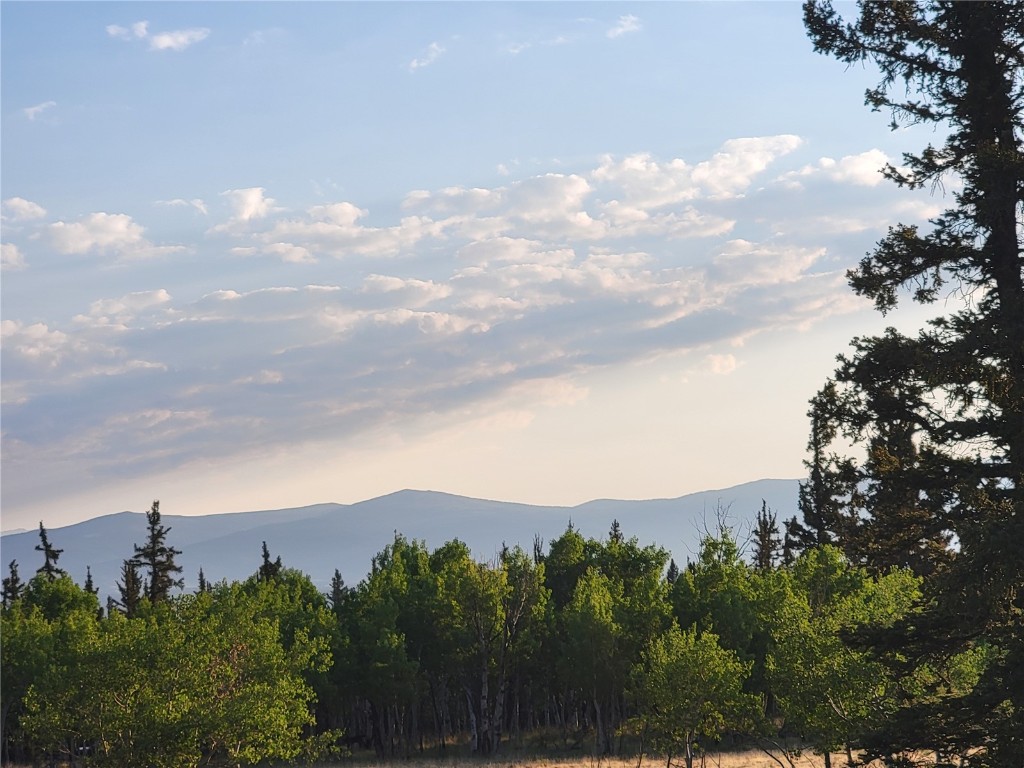 22 Teton Trail Property Photo 3