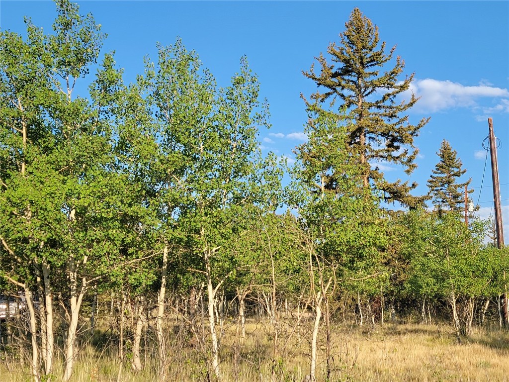 22 Teton Trail Property Photo 6